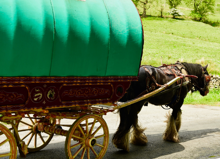 eco van